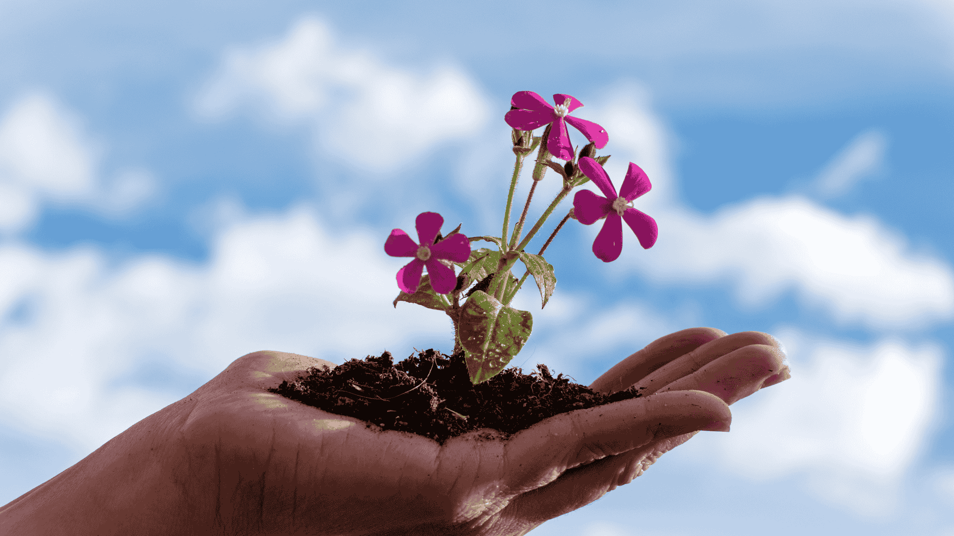 Crescita personale tramite counseling